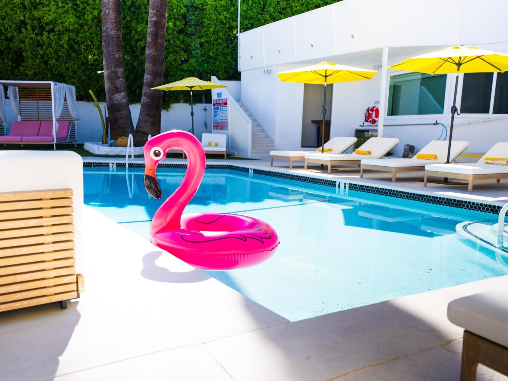 The Cactai Hotel Palm Springs Ngoại thất bức ảnh